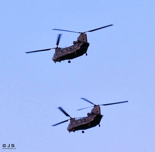 Chinooks