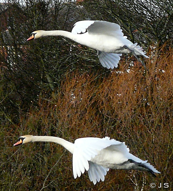 Synchronised landing