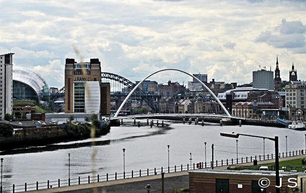 The view from The Free Trade