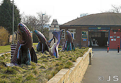 The ones that got away