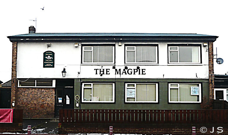 The Magpie