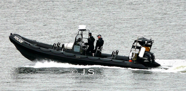Rib 1