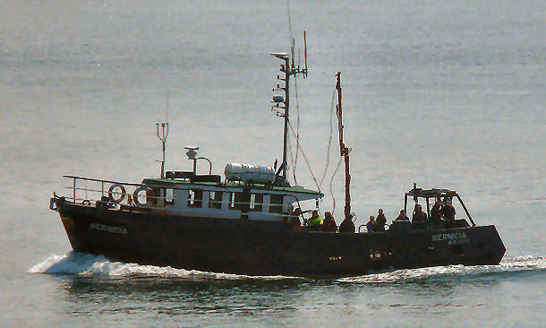 RV Bernicia