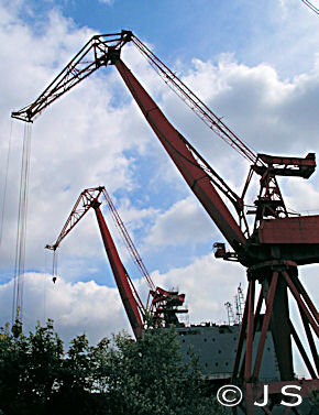 Red crane pair