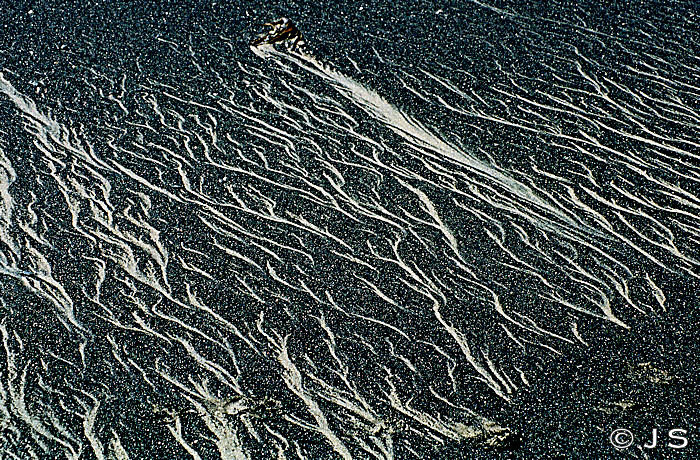 Patterns in the coal