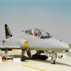 Hawk