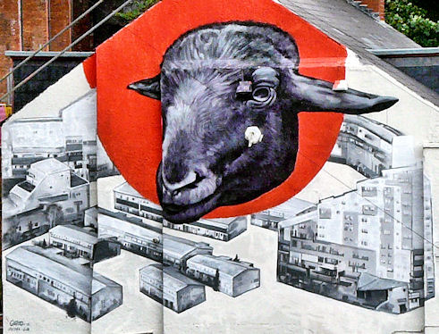 Black Sheep