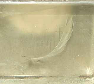 Feather 1