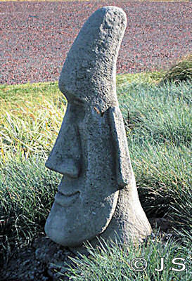 Head