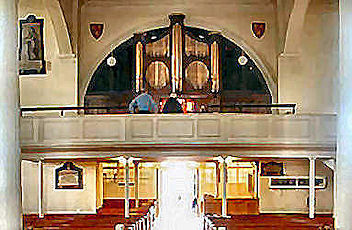 Organ