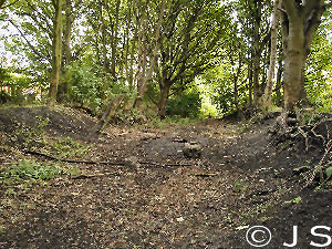 Northumberland Park
