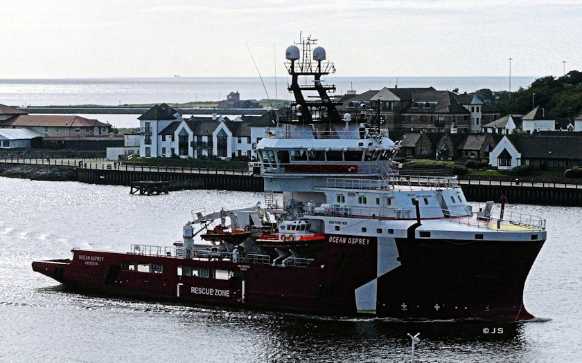 Ocean Osprey