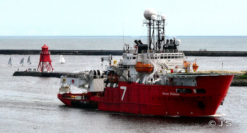 Seven Pelican