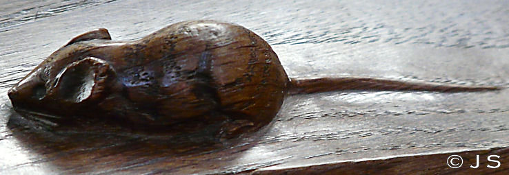 The mouse
