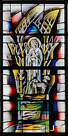 Window 5
